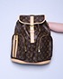 Louis Vuitton Bosphore Backpack, front view